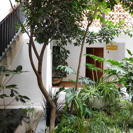 Santa Josefita-2
